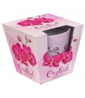 Santo Candles Orchid 115 g