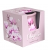 Santo Candles Magnólia 80 g