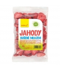 WOLFBERRY Jahody lyofilizované 20 g