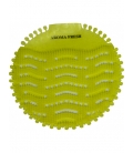 AROMAFRESH SUPER sitko do pisoára gélové CITRUS